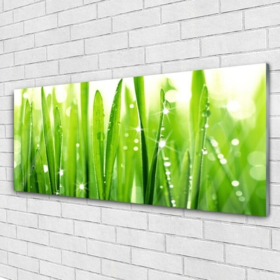 Acrylic Print Grass floral green