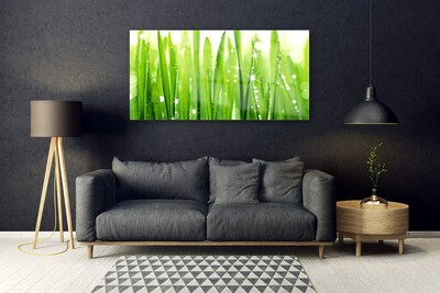 Acrylic Print Grass floral green