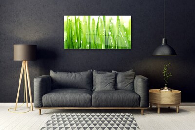 Acrylic Print Grass floral green