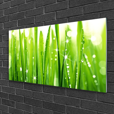 Acrylic Print Grass floral green