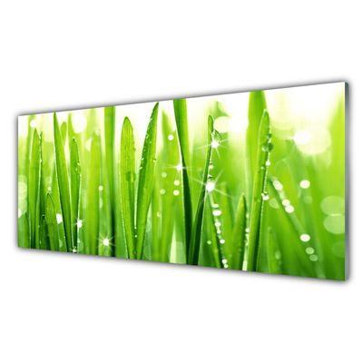 Acrylic Print Grass floral green