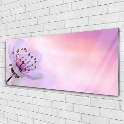 Acrylic Print Flower floral pink