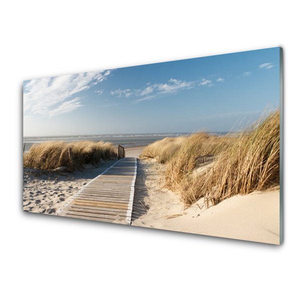 Acrylic Print Beach path landscape grey green blue