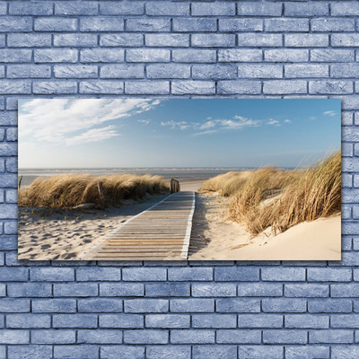 Acrylic Print Beach path landscape grey green blue