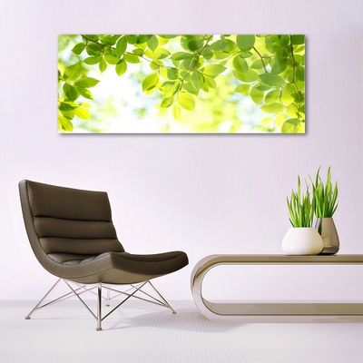 Acrylic Print Leaves nature green