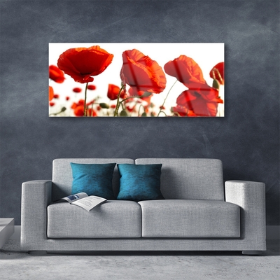 Acrylic Print Poppies floral red