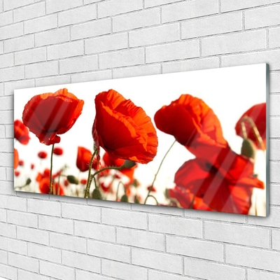 Acrylic Print Poppies floral red