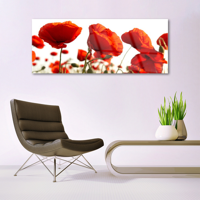 Acrylic Print Poppies floral red