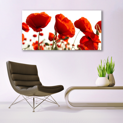 Acrylic Print Poppies floral red