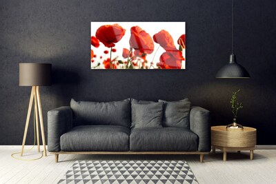 Acrylic Print Poppies floral red