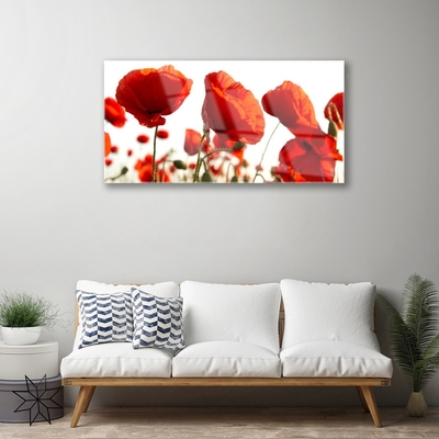 Acrylic Print Poppies floral red