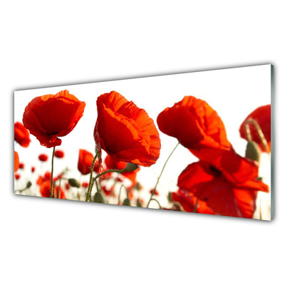 Acrylic Print Poppies floral red