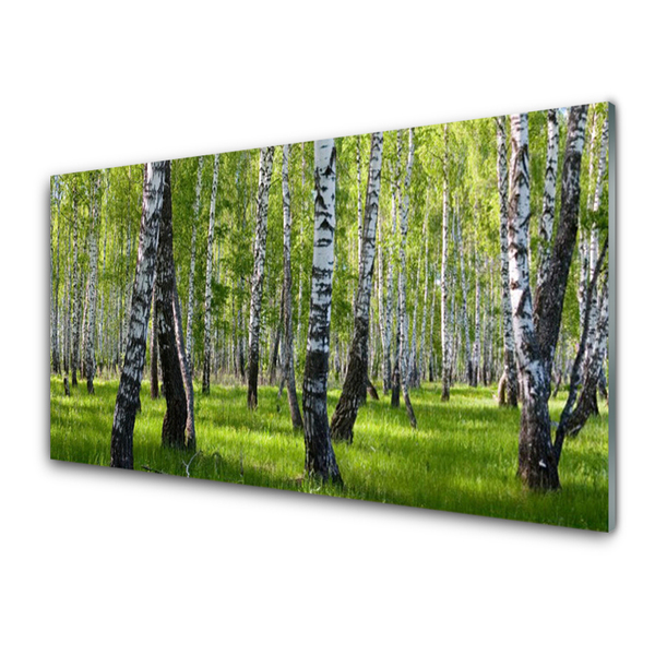Acrylic Print Forest nature black white green