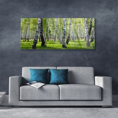 Acrylic Print Forest nature black white green