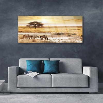 Acrylic Print Desert landscape yellow
