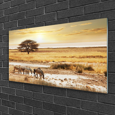 Acrylic Print Desert landscape yellow