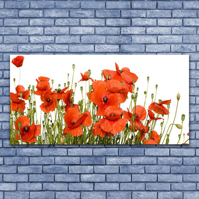 Acrylic Print Poppies floral red