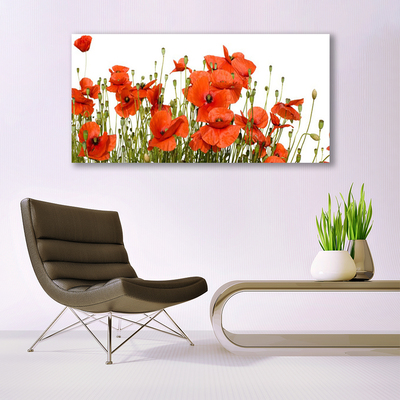 Acrylic Print Poppies floral red