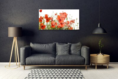 Acrylic Print Poppies floral red