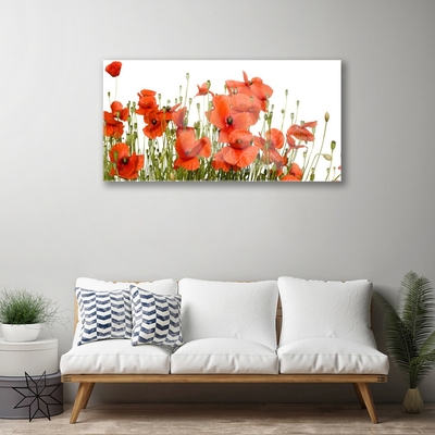 Acrylic Print Poppies floral red