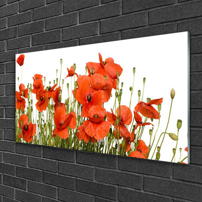 Acrylic Print Poppies floral red