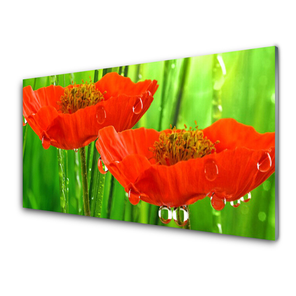 Acrylic Print Poppies floral red green