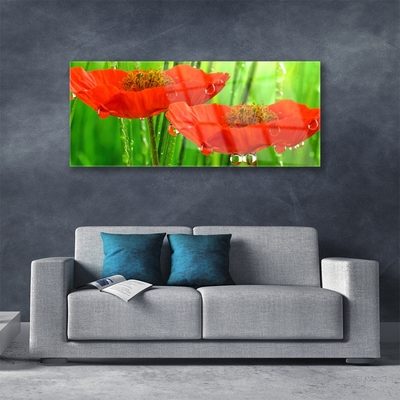 Acrylic Print Poppies floral red green