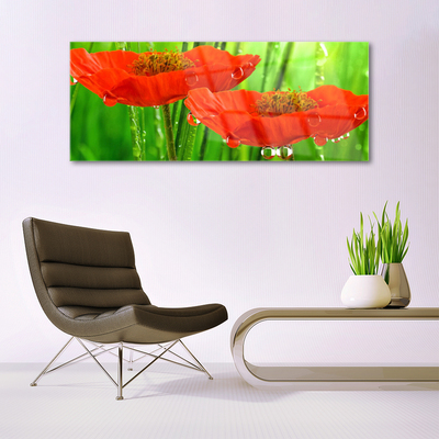 Acrylic Print Poppies floral red green