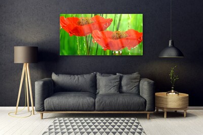 Acrylic Print Poppies floral red green