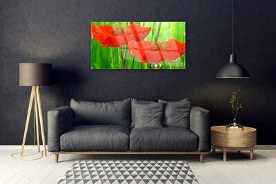 Acrylic Print Poppies floral red green