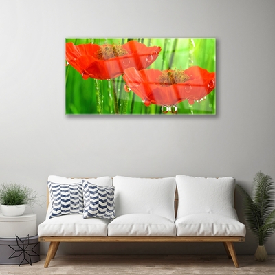 Acrylic Print Poppies floral red green