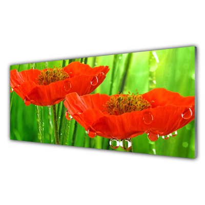 Acrylic Print Poppies floral red green