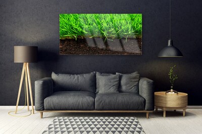 Acrylic Print Grass nature green