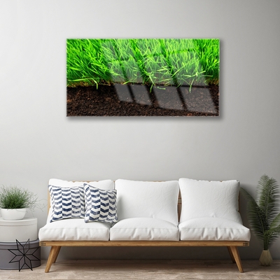 Acrylic Print Grass nature green