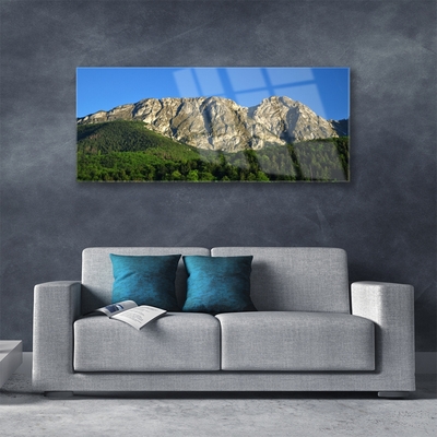 Acrylic Print Mountain forest nature grey green