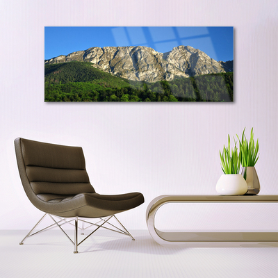 Acrylic Print Mountain forest nature grey green