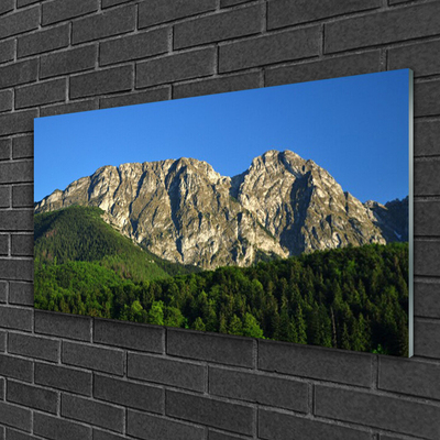 Acrylic Print Mountain forest nature grey green