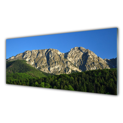 Acrylic Print Mountain forest nature grey green