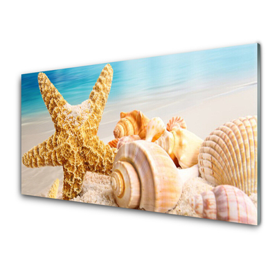 Acrylic Print Starfish shells art yellow white