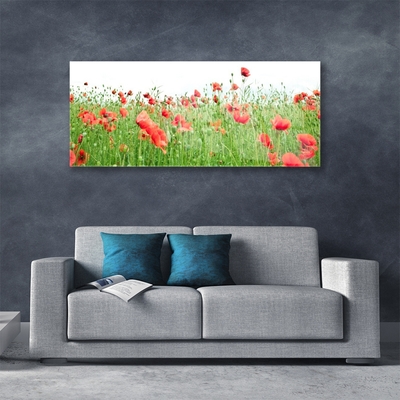 Acrylic Print Poppies nature red green