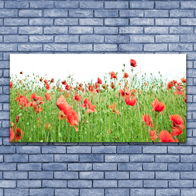 Acrylic Print Poppies nature red green