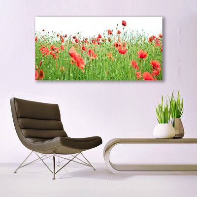 Acrylic Print Poppies nature red green