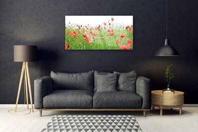 Acrylic Print Poppies nature red green