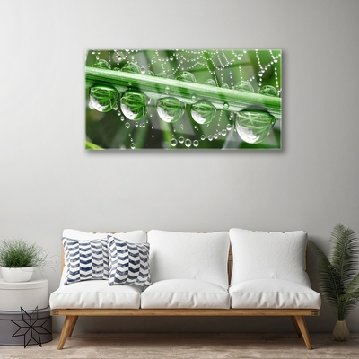 Acrylic Print Spider web dewdrops floral white