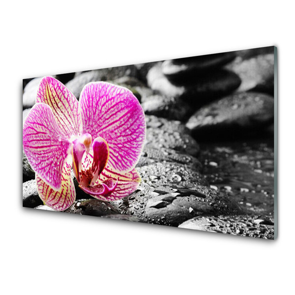 Acrylic Print Flower stones floral pink black