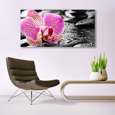 Acrylic Print Flower stones floral pink black