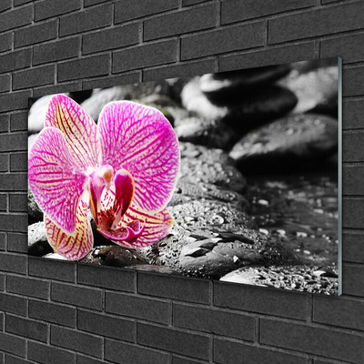 Acrylic Print Flower stones floral pink black