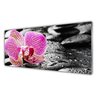 Acrylic Print Flower stones floral pink black