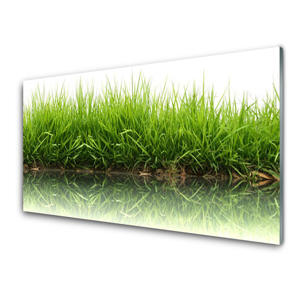 Acrylic Print Grass nature green