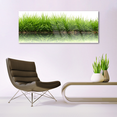 Acrylic Print Grass nature green